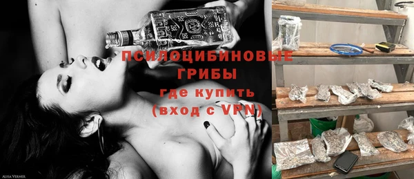 ECSTASY Армянск